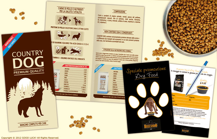 brochure promocard